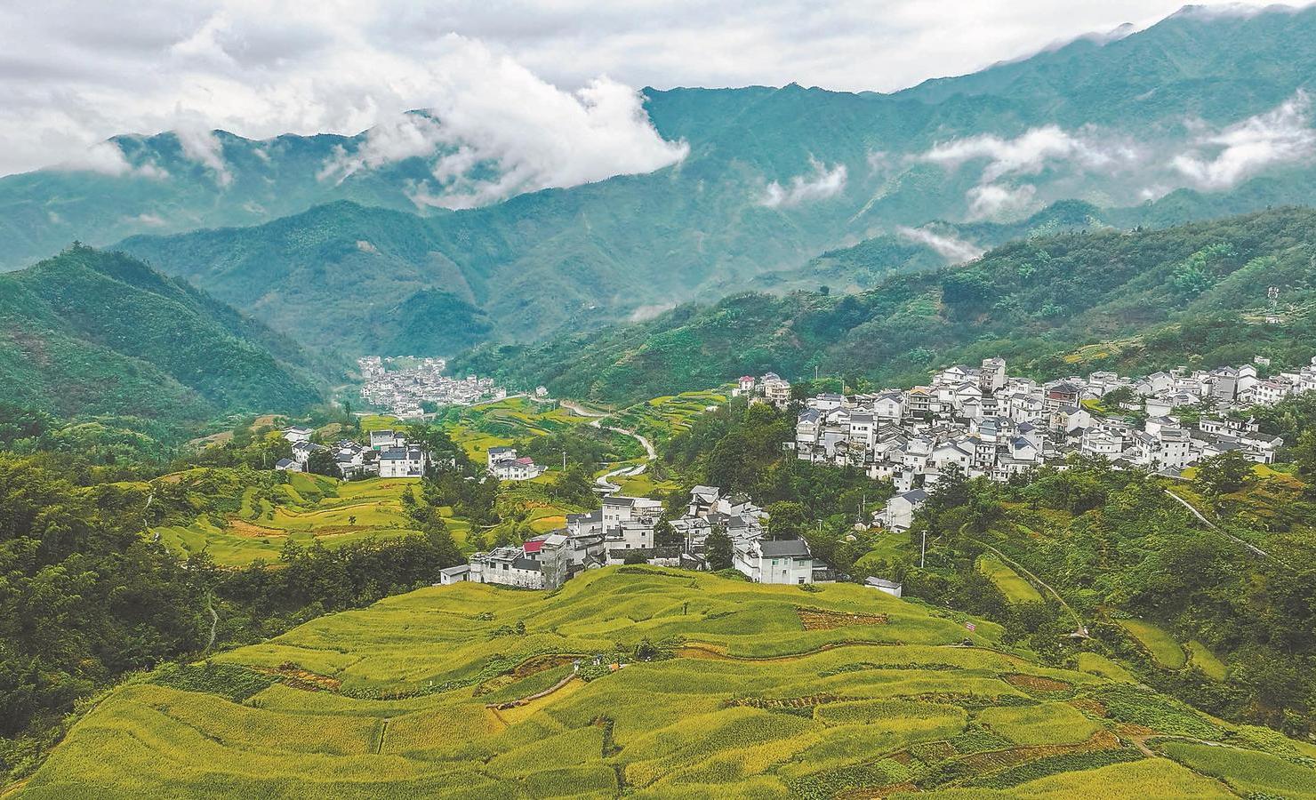 绿色交融,探寻安徽的历史与现代魅力